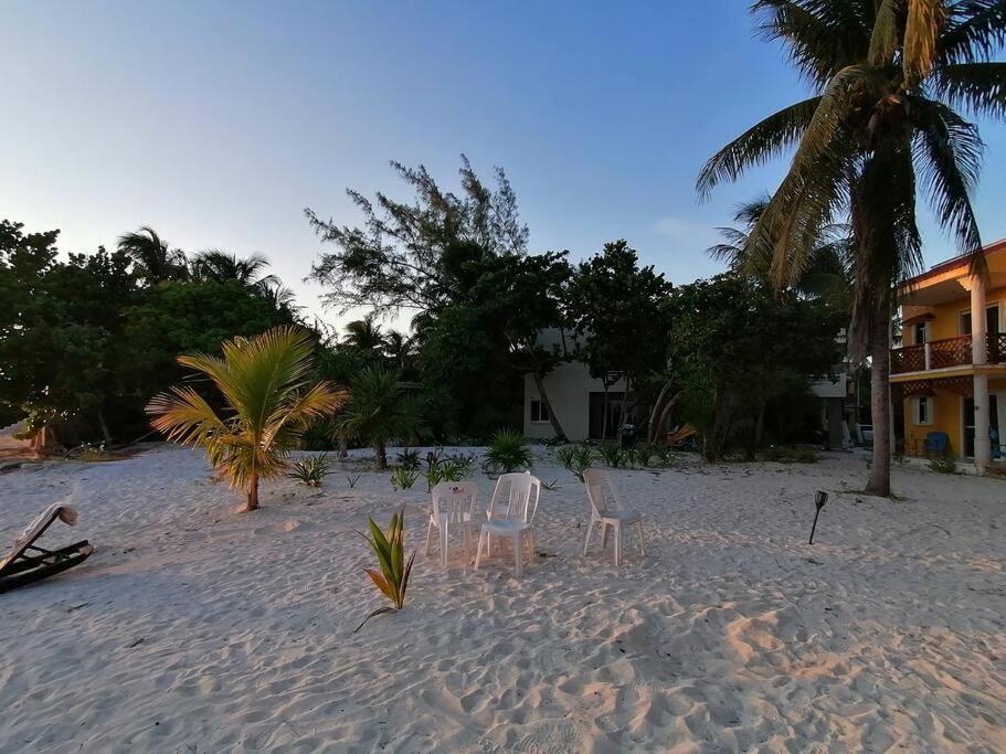 Marysol Great Views Beachfront Next To Nomads D3 อิสลามูเฮเรส ภายนอก รูปภาพ