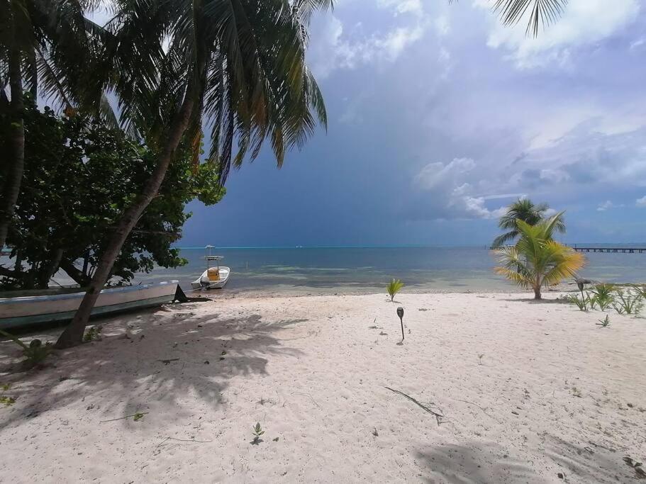 Marysol Great Views Beachfront Next To Nomads D3 อิสลามูเฮเรส ภายนอก รูปภาพ