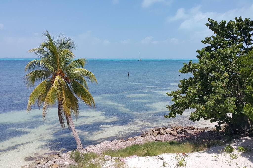 Marysol Great Views Beachfront Next To Nomads D3 อิสลามูเฮเรส ภายนอก รูปภาพ